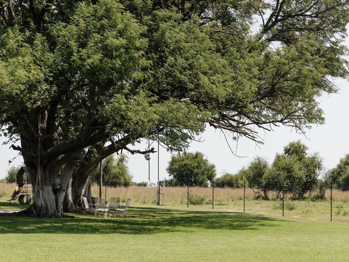 Buffalo Thorn Tree Lodge Swartruggens Exterior foto